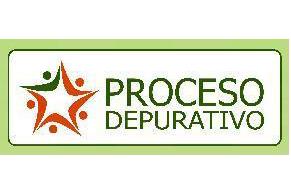 PROCESO DEPURATIVO