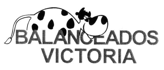 BALANCEADOS VICTORIA