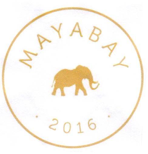 MAYABAY 2016