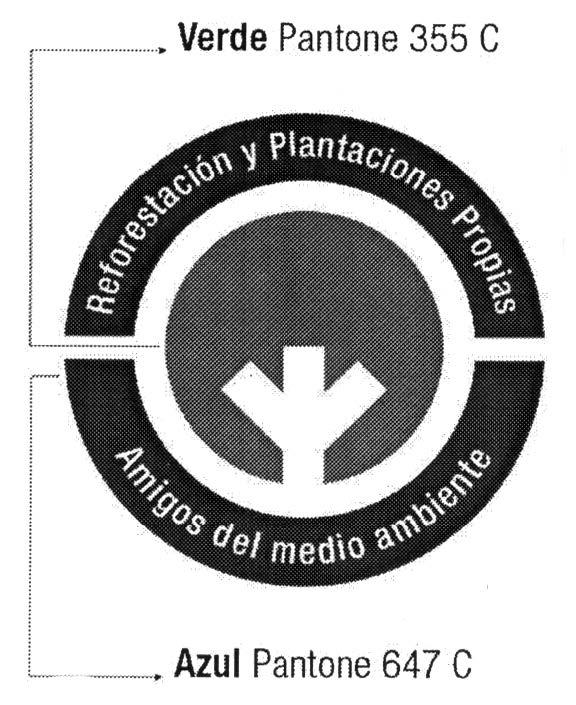 REFORESTACION Y PLANTACIONES PROPIAS AMIGOS DEL MEDIO AMBIENTE