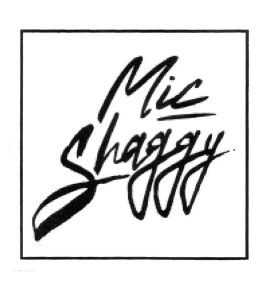MIC SHAGGY