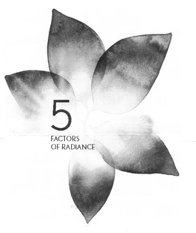 5 FACTORS OF RADIANCE