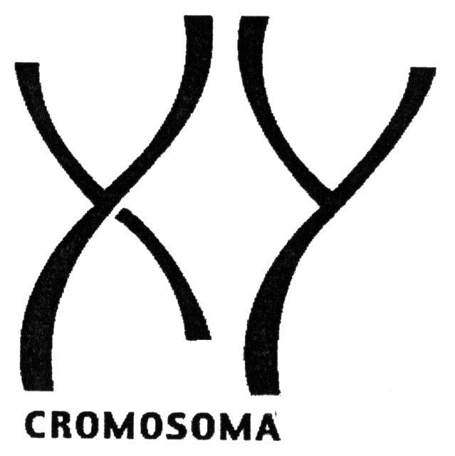 CROMOSOMA