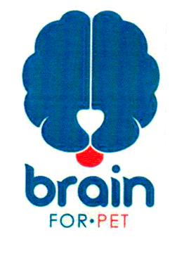 BRAIN FOR PET