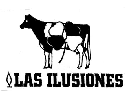 LAS ILUSIONES