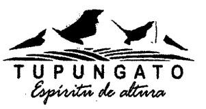 TUPUNGATO ESPIRITU DE ALTURA