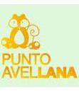 PUNTO AVELLANA