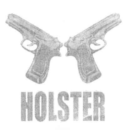 HOLSTER