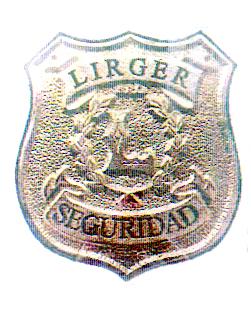 LIRGER SEGURIDAD