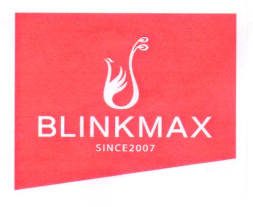 BLINKMAX SINCE 2007