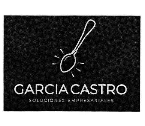 GARCIA CASTRO SOLUCIONES EMPRESARIALES