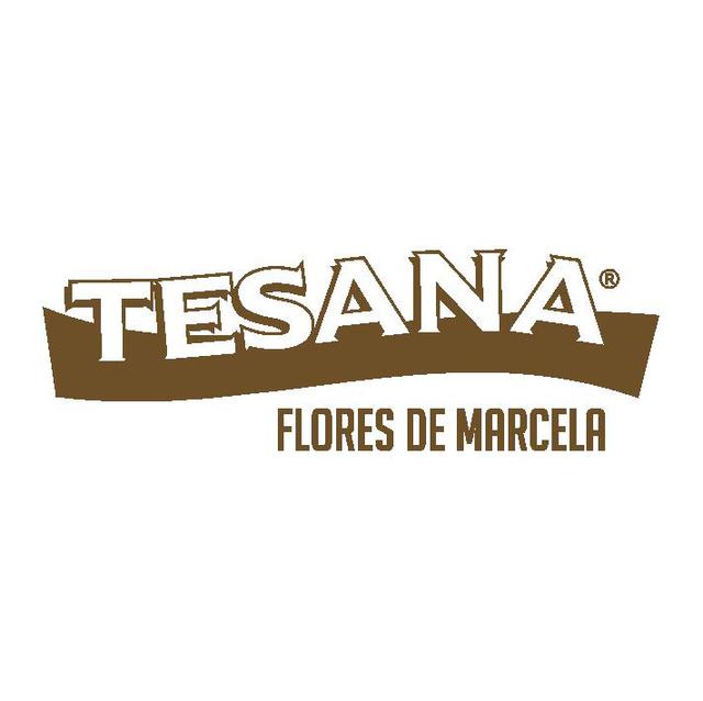 TESANA. FLORES DE MARCELA