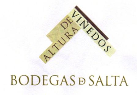 BODEGAS D SALTA VIÑEDOS DE ALTURA