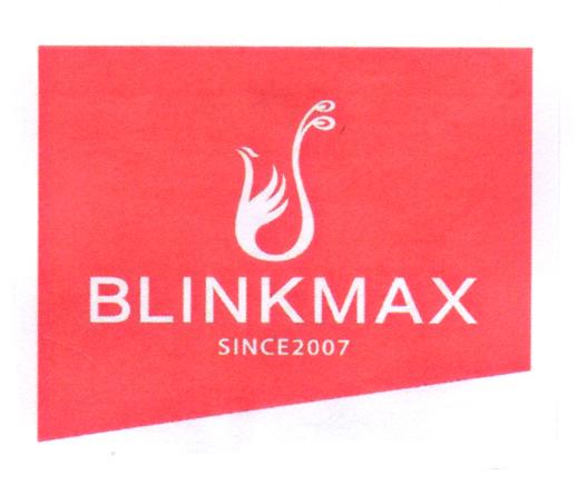 BLINKMAX SINCE 2007