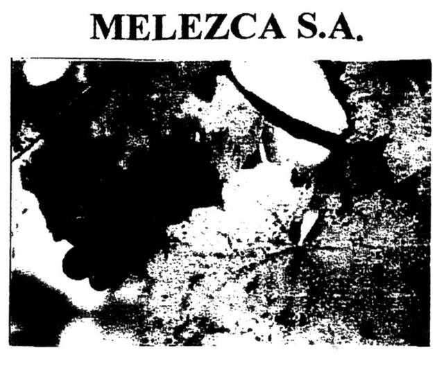 MELEZCA S.A.