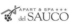 APART & SPA DEL SAUCO