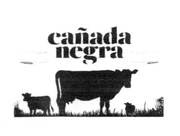 CAÑADA NEGRA