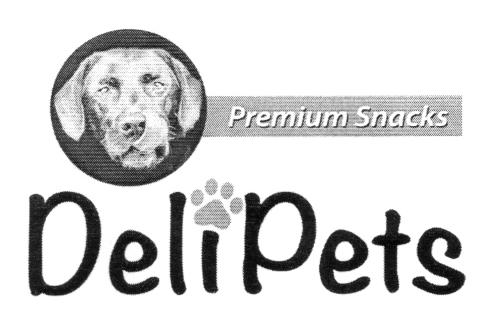 DELIPETS PREMIUN SNACKS