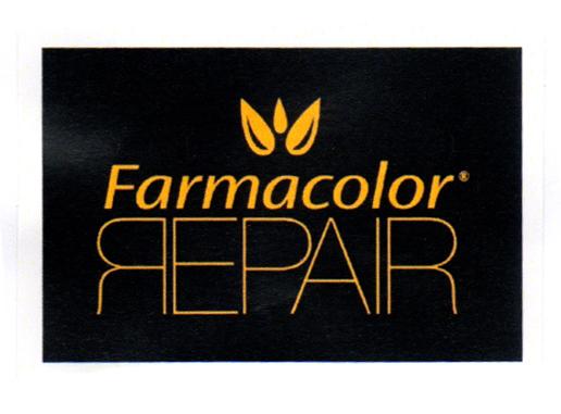 FARMACOLOR REPAIR