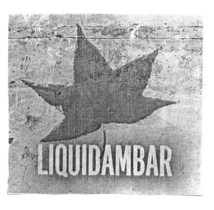 LIQUIDAMBAR