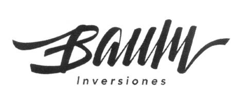 BAUM INVERSIONES