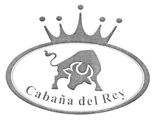 CABAÑA DEL REY