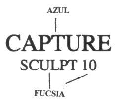 CAPTURE SCULPT 10