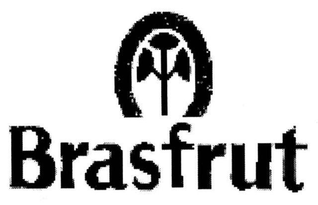 BRASFRUT