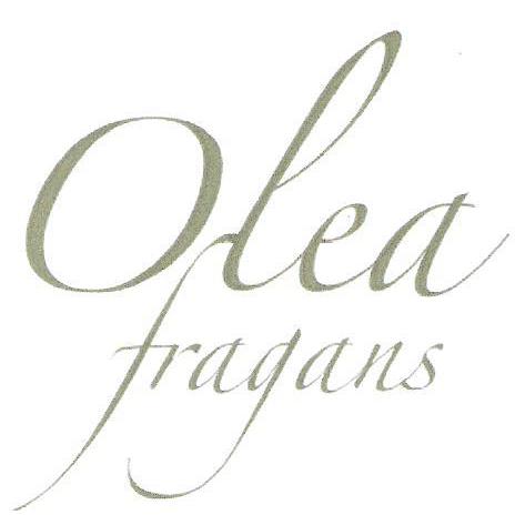 OLEA FRAGANS