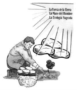 LA FUERZA DE LA TIERRA  LA MANO DEL HOMBRE  LA ECOLOGIA SAGRADA