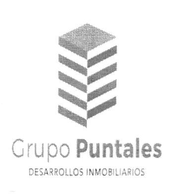 GRUPO PUNTALES DESARROLLOS INMOBILIARIOS