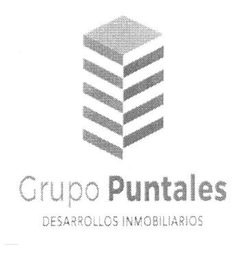 GRUPO PUNTALES DESARROLLOS INMOBILIARIOS