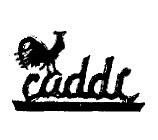 CADDI