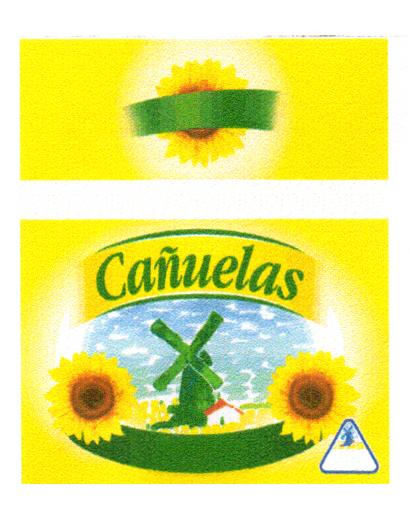 CAÑUELAS