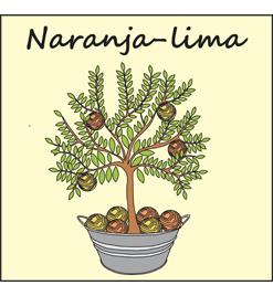 NARANJA-LIMA