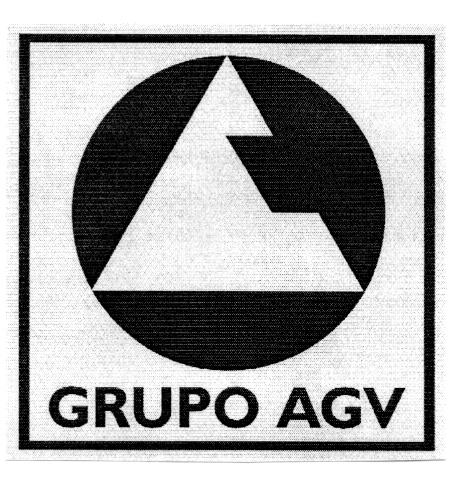 GRUPO AGV