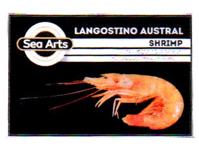 LANGOSTINO AUSTRAL SHRIMP SEA ARTS