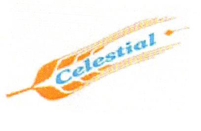 CELESTIAL