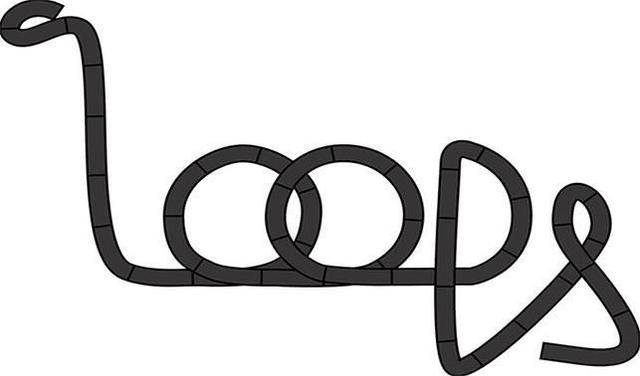 LOOPS