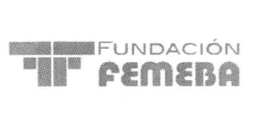 FUNDACIÓN FEMEBA