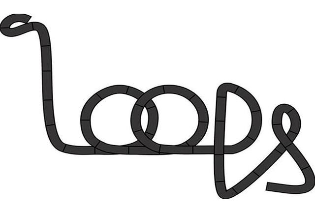 LOOPS