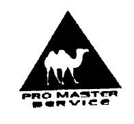 PRO MASTER SERVICE