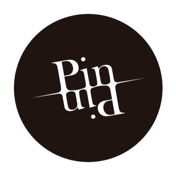 PIN PIN