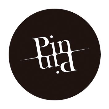 PIN PIN