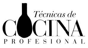 TECNICAS DE COCINA PROFESIONAL