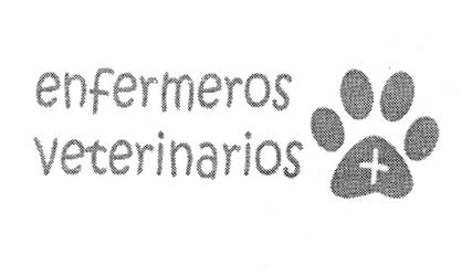 ENFERMEROS VETERINARIOS