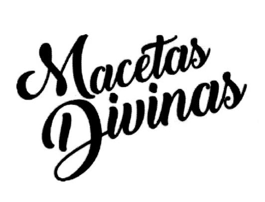 MACETAS DIVINAS