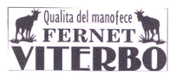 QUALITA DEL MANOFECE FERNET VITERBO