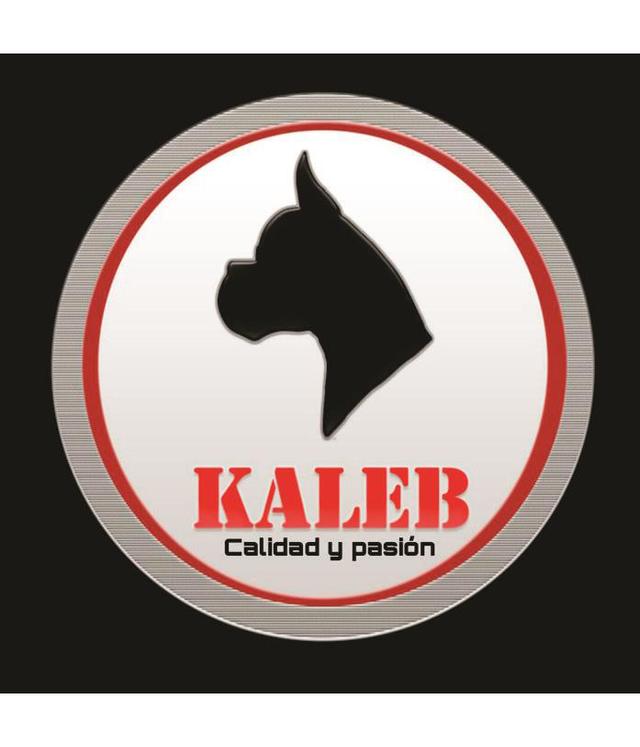 KALEB CALIDAD Y PASION