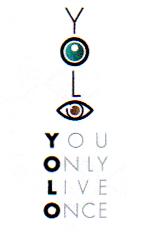 YOLO YOU ONLY LIVE ONCE